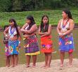 Qué hay detrás de la persecución a los Embera Chamí