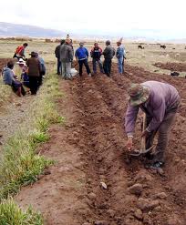 Federación campesina exige que reforma agraria sea una realidad