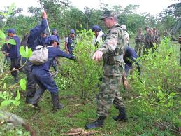 Más de 2500 campesinos en el Catatumbo protestan contra la erradicación manual forzada no concertada