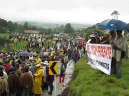 Crisis de los trabajadores paperos en Colombia