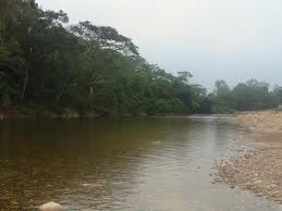 Comunidades del Meta se oponen a proyecto petrolero en el río Humadea