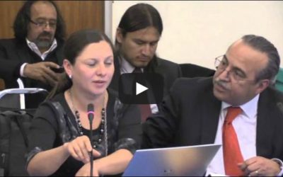 Audiencia CIDH sobre Derechos Políticos en Colombia