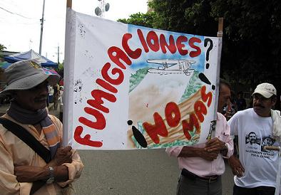 Violaciones de derechos humanos y daños ambientales a raíz de fumigaciones, afirma Amicus