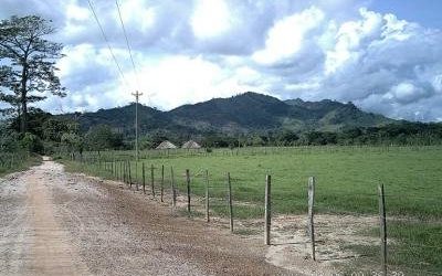 Zonas de reserva campesina: Alternativa de desarrollo rural solidario