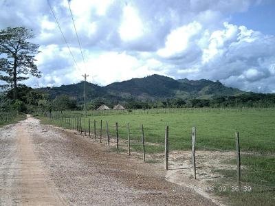 Zonas de reserva campesina: Alternativa de desarrollo rural solidario