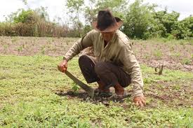 Continúa montaje judicial contra campesinos de la region de sumapaz