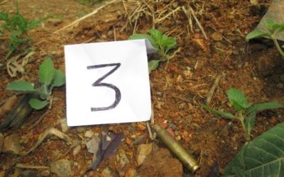 Presentan pruebas de campesino asesinado por el Ejército en el Cauca