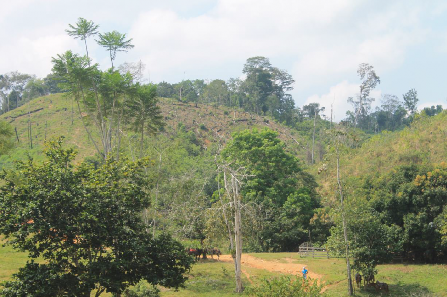 Informe de comisión de verificación sobre vereda Dos Quebradas, Remedios, Antioquia