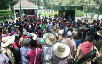 La huelga de los corteros del Ingenio Risaralda cumplió su cometido: todos serán formalizados