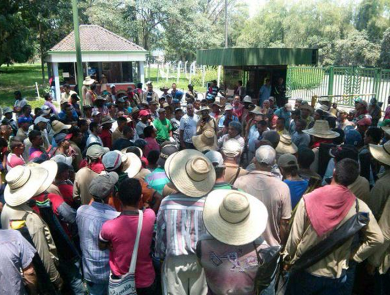 La huelga de los corteros del Ingenio Risaralda cumplió su cometido: todos serán formalizados