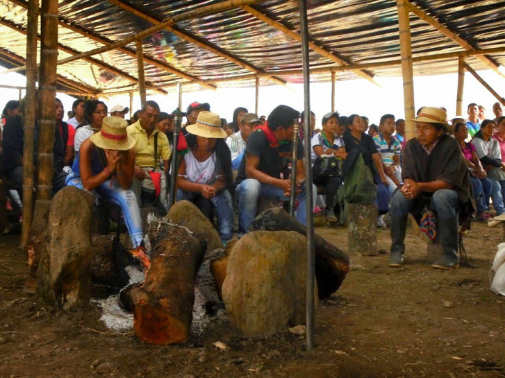 Liberación de la madre tierra en Corinto finca Miraflores, “vamos a sembrar para echar raíces”