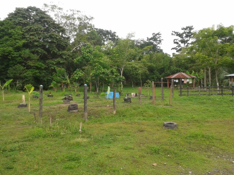 Despojo, desplazamiento y restitución de tierras