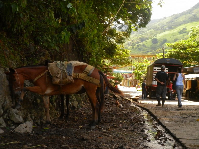 Protesta campesina genera tensiones en la negociación con la Cumbre Agraria en Antioquia