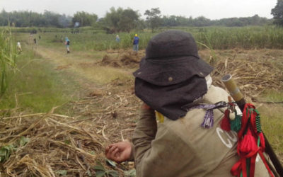 Corinto: Con hambre no hay paz, por eso seguiremos liberando la madre tierra