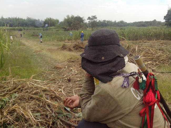 Corinto: Con hambre no hay paz, por eso seguiremos liberando la madre tierra