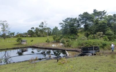 Contra la locomotora minero energética del Gobierno Santos. Consultas populares en todo el territorio Colombiano