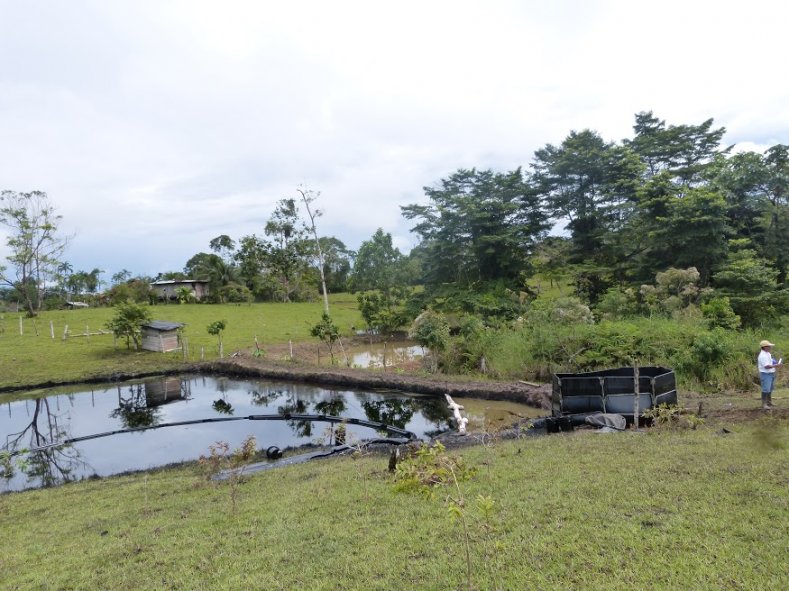 Contra la locomotora minero energética del Gobierno Santos. Consultas populares en todo el territorio Colombiano