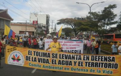 La aberrante extranjerización del río Magdalena y sus consecuencias ambientales