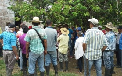 Empresarios destruyen bienes restituidos a campesinos en la hacienda Monteverde en Urabá