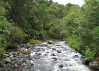 Alerta humanitaria en defensa del territorio en el Quindío