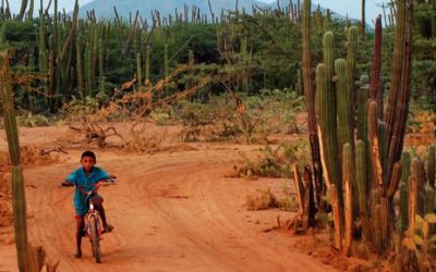 Citan a directora de ICBF a debate por desnutrición de niñas y niños en La Guajira