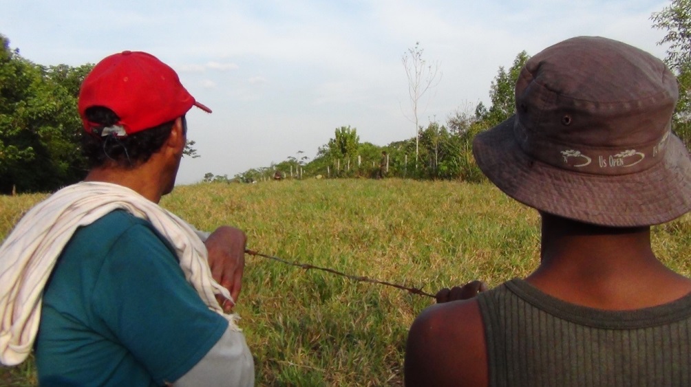 Campesinos del Meta siguen en el medio de los cultivos de coca