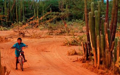 Matar de hambre, crimen de lesa humanidad