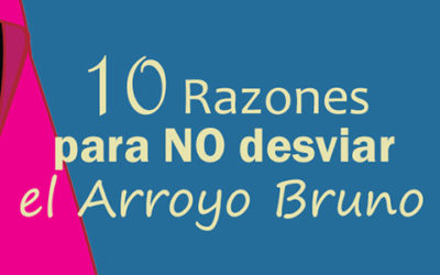 10 razones para no desviar el arroyo Bruno