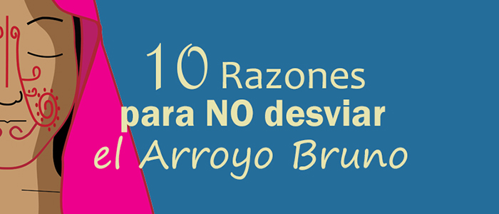 10 razones para no desviar el arroyo Bruno