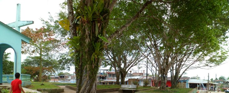 Confirman condena contra Exadministrador de Hospital por asesinato de sindicalista