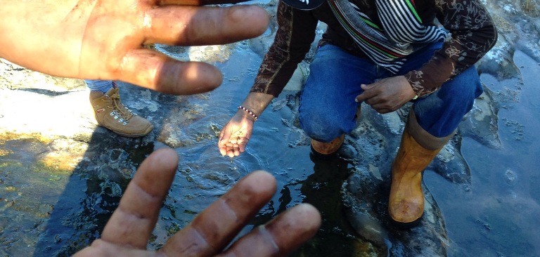 Explotación petrolera en Colombia: informe revela costos humanos y ambientales del oro negro
