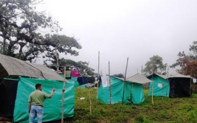 Misión constató incumplimientos  del gobierno en zona veredal de Icononzo