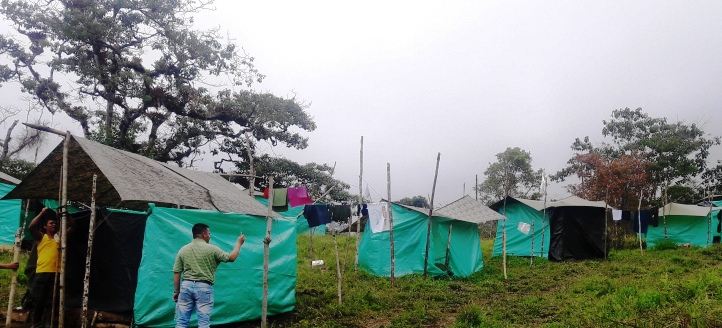 Misión constató incumplimientos  del gobierno en zona veredal de Icononzo