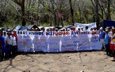 Por graves impactos solicitan anular la licencia ambiental de Hidroituango