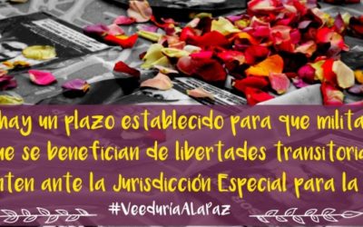 Libertades transitorias deben incluir compromisos verificables con los derechos de las víctimas