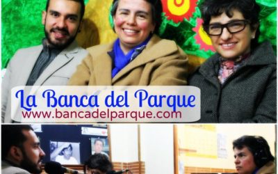 Programa especial Empresas, conflicto y paz