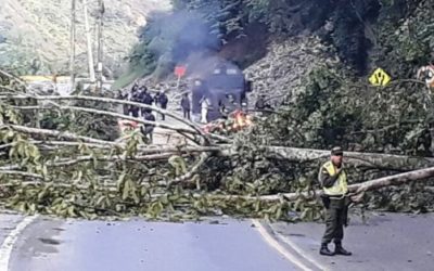 Respaldamos la movilización del Pacífico por la vida digna y la paz