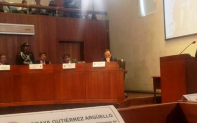 Intervención Cajar ante Corte Constitucional sobre ley de amnistía e indulto