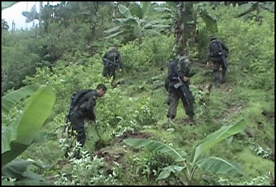 Con erradicación forzada policía desconoce acuerdo final de paz