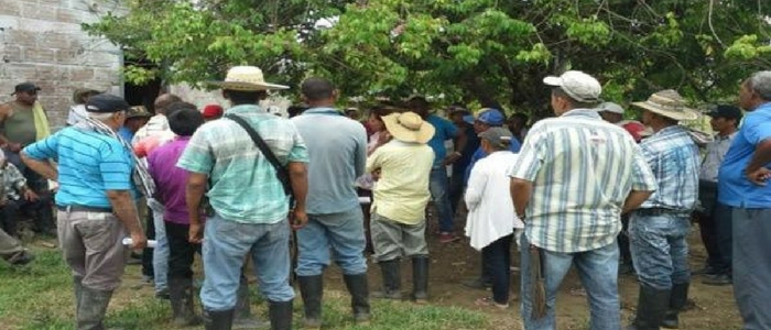 Llamado Urgente: Líder de sustitución de cultivos es asesinado en Antioquia