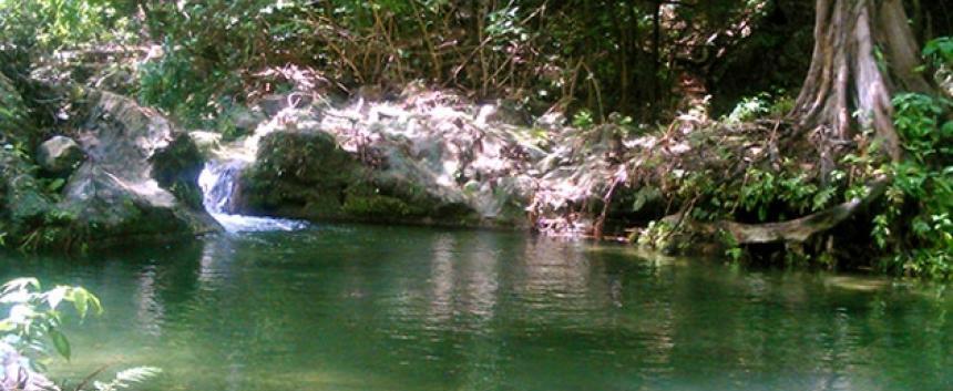 Corte Constitucional ordena proteger el agua, la salud y la seguridad alimentaria de comunidades que dependen del arroyo Bruno