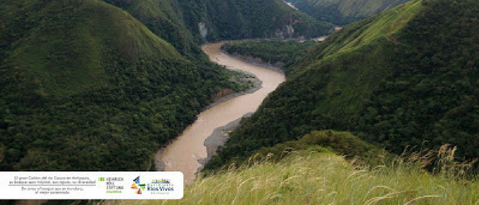 El río Cauca exige su libertad. El río Cauca le habla a Colombia