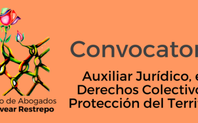 Convocatoria Auxiliar Jurídico, eje Derechos Colectivos y Protección del Territorio