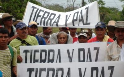 Condena a Sor Teresa Gómez por desplazamiento reconoce que palma en Urabá fue proyecto de expansión paramilitar