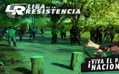 Liga de la Resistencia: Informe de derechos humanos en el paro nacional