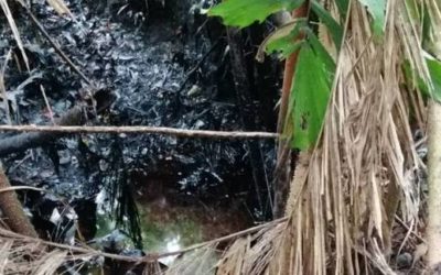 Alerta por derrame de petróleo en Puerto Gaitán debido a negligencia de Ecopetrol