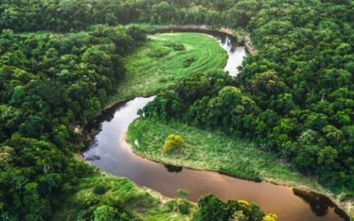 Arde la Amazonía: la humanidad frente a una encrucijada