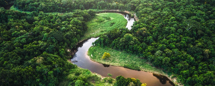 Arde la Amazonía: la humanidad frente a una encrucijada