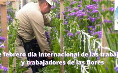 14 de febrero: Día internacional de los trabajadores y trabajadoras de la floricultura