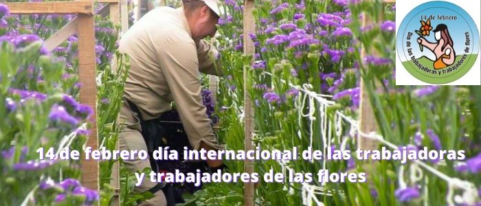 14 de febrero: Día internacional de los trabajadores y trabajadoras de la floricultura